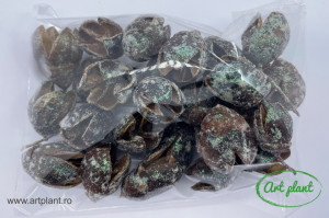 Bakuli Glitter Verde - Img 2
