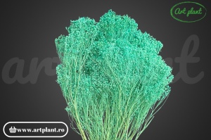 Broom Mint