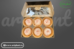 Bujor stabilizat natural din Ecuador, diametru 5 cm, înălțime 4 cm, 1 bucată