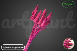 Cane cone mini fuchsia