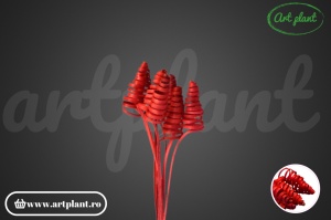 Cane cone mini roșii