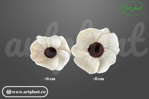 Cap anemonă sola 6 cm cu petale albe și centru brun negru, floare decorativă din lemn de sola