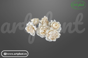 Cap boboc bujor sola 10 cm în formă de boboc, floare decorativă romantică din lemn de sola