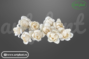 Cap boboc bujor sola 6 cm în formă de boboc, floare decorativă romantică din lemn de sola