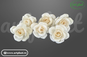 Cap bujor deschis sola 8 cm cu petale larg desfăcute, floare decorativă voluminoasă din lemn de sola