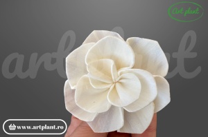 Cap camelie sola 6 cm cu petale simetrice în spirală, floare decorativă elegantă din lemn de sola
