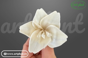 Capete crin sola 6cm