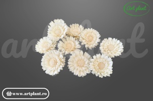 Cap floarea soarelui dublă sola 6 cm cu petale pe două rânduri, floare decorativă voluminoasă din lemn de sola