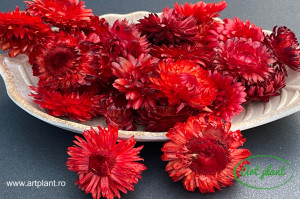 Capete flori de paie rosii , 20 gr