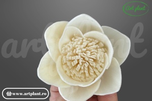 Cap lotus sola 6 cm cu petale conice în rânduri concentrice, floare decorativă zen din lemn de sola
