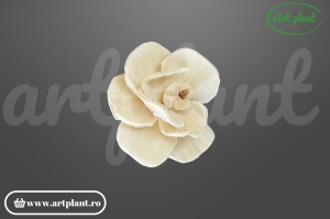 Cap orhidee new sola 6 cm model modern cu proporții fine, floare decorativă contemporană din lemn de sola