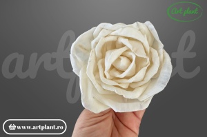Capete trandafir deschis sola8cm