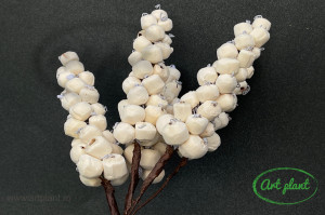 Ciorchine Struguri Ming Natur