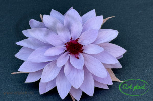 Dalia Criogenata Lila Vio03