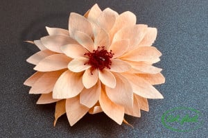 Dalia Criogenata Peach Pea01 - Img 1