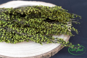 Erica stabilizată green - Img 2