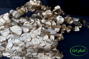 Eucalipt Espiral Metal Gold - Img 2