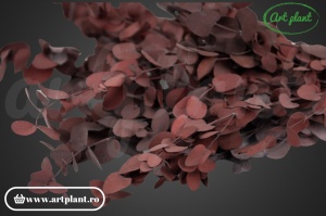 Eucalipt Silver Drop Burgundy - Img 4
