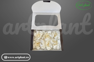 Gardenia criogenată albă 5-8cm - Art Plant