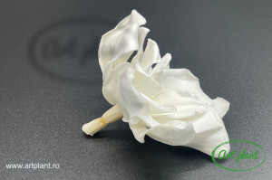 Gardenia criogenată albă 5-8cm - Art Plant