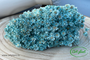 Glixia Blue Turquoise