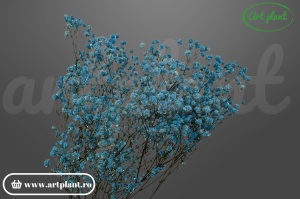 Gypsophila criogenată Light Blue