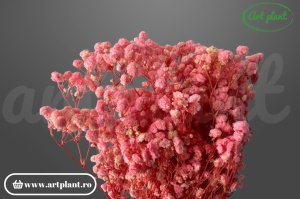 Gypsophila Roz criogenată, buchet 100-130g, roz deschis delicat pentru buchete de mireasă și aranjamente romantice