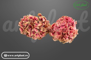 Hortensie stabilizată Strawberry Antique, floare naturală în nuanțe de roz și fuchsia
