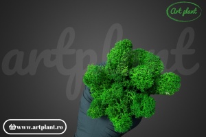 Licheni stabilizati Nature Green