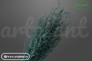 Limonium Stabilizat Albastru