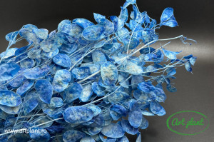 Lunaria Small Blu