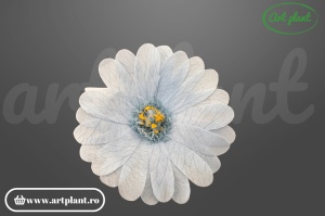 Margarete criogenate light blue