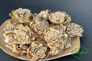 Ming natur / maro 4-5 cm