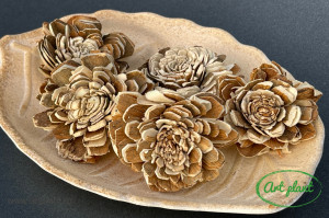 Ming natur /maro 6 cm , 5 buc