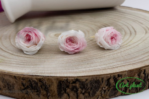 Mini Austin Roses Ombre Alb / Roz - Img 1