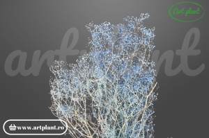 Mini gypsophila light blue