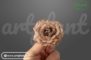 Mini Rose Romantic stabilizate Nude din Ecuador, Ø 4–5 cm • Înălțime 2–2.3 cm, 12 buc