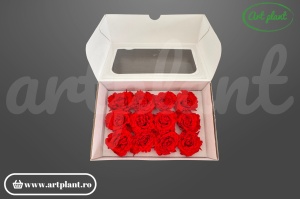 Mini Rose Romantic stabilizate Rosu Scarlet din Ecuador, Ø 4–5 cm • Înălțime 2–2.3 cm, 12 buc