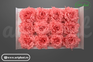 mini rose romantic stabilizate roz flori elegante pentru aranjamente