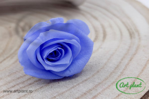 Mini Rose Violet - Img 2