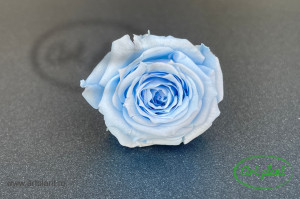 Mini Roze Bleo Blu89 - Img 1