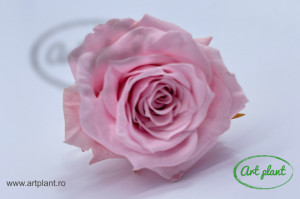 Mini Roze Roz Pal Pin04 - Img 2