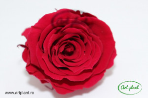 Mini Roze Warmi Cyclam Inchis Pin05