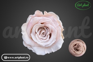 Mini Roze Warmi Roz Pal Bic07 - Img 1