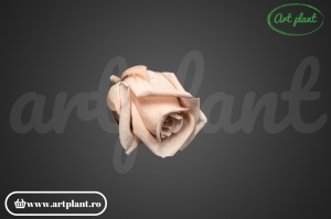 Miniroze Criogenate Antique Pink S - Img 2