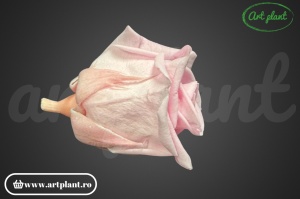 Miniroze Criogenate Bridal Pink S - Img 4