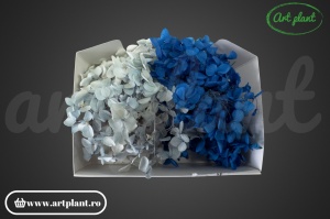 Mix Hortensie Stabilizată – Set cu 2 Culori Naturale - Img 2