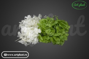 Mix Hortensie Stabilizată – Set cu 2 Culori Naturale - Img 2