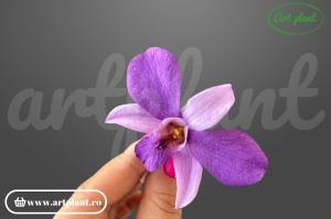 Orhidee Dendrobium mov criogenată 3.5-6cm - Art Plant