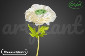 Ranunculus artificial gigant 138 cm – crem - Img 3